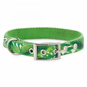 Bond & Co. Palm Springs Dog Collar, Small By: Bond & Co - Picture 1 of 5
