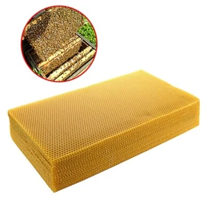 Peine Base Suministros Prácticos Set 10 piezas 200*415 mm Apicultura Útil - Imagen 1 de 12