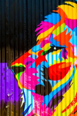 Современные граффити уличное животное лев красочная печать настенное искусство дом - плакат 20 x 30 - Изображение 1 из 3