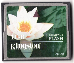 Kingston 1GB CF/1GB CF Compact Flash Camera Memory Card - Picture 1 of 2