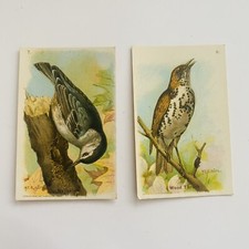 BIRDS Useful Birds of America 1929 Sixth Series Church & Dwight 2 Cards 7,8