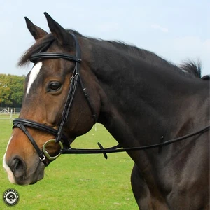 Brillante in pelle inglese Heritage Saddlery con flash fascio nasale incluso - Foto 1 di 8