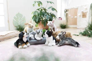 NICI Lifelike Auswahl Plüsch Katze, Hund, Esel, Schwein, Hase - Bild 1 von 7
