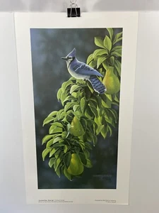 Derek Wicks Verano Azul Azul Jay Birds Arte Estampado Firmado - Imagen 1 de 12