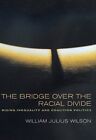 The Bridge Over The Racial Divide  Rising Inequality & Coalition Politics: Risin