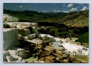 Minerva Terrace-Yellowstone National Park - 1257 Postcard Unposted - Picture 1 of 2