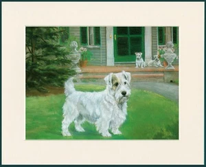 SEALYHAM TERRIER TOLLER HUNDEDRUCK RAHMENFERTIG MONTIERT - Bild 1 von 1