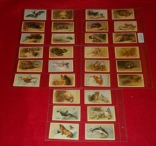 GRANDEE DONCELLA TOM THUMB CASTELLA ETC CIGARETTE CARD SETS  IN PLASTIC SLEEVES