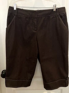 Ann Taylor Loft Marisa Bermuda Shorts Brown Pin Striped Cuffed Women’s Size 14 - Picture 1 of 8