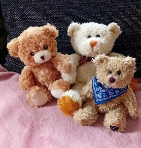 3 Teddybären Kuschelbären Plüschbär Spielzeug braun weiss Kinder - Bild 1 von 1