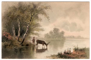 Antique postcard landscape deer lake birch trees ca 1900 German original litho - Picture 1 of 2