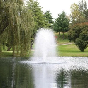 Kasco 4400JF 1HP 120V Floating Pond Fountain - Bild 1 von 6