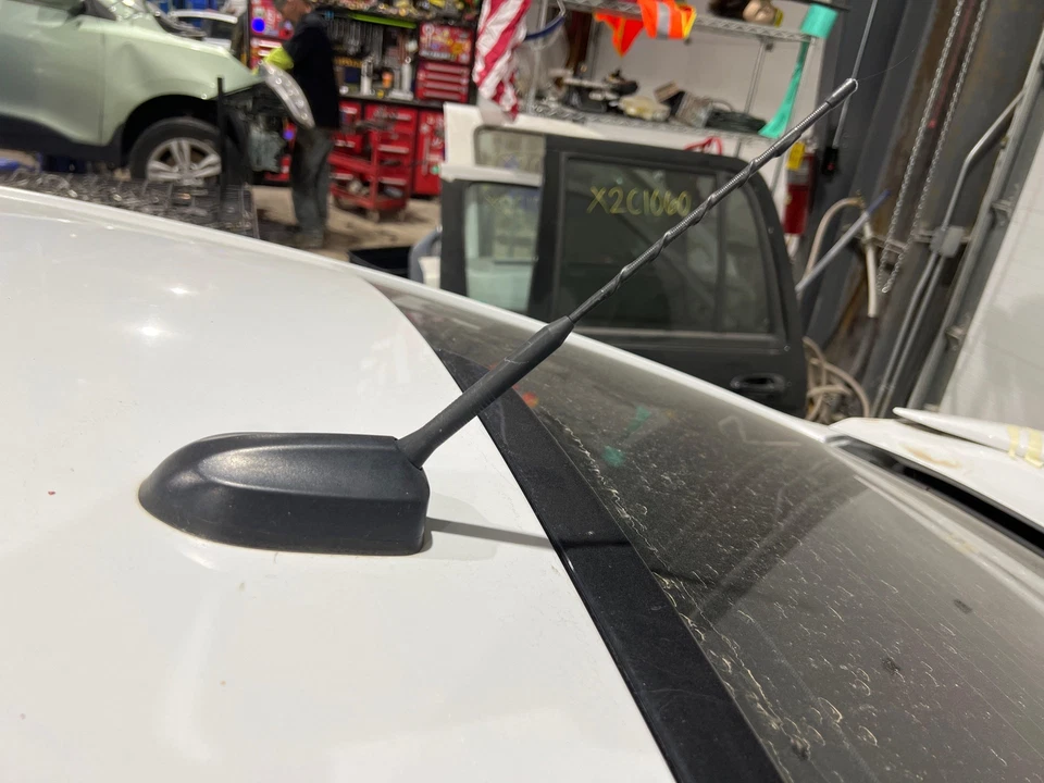 Mástil de antena de radio negro Ford Fusion 2013-2020 Foto 1 de 1