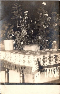JUEGO DE MESA CON PLANTAS Michigan? postal vista interior RPPC c1912 - Imagen 1 de 2