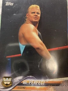 Mr. Perfect - Picture 1 of 2