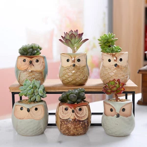 6pcs Mini Owl Plant Pots Ceramic Flowerpot Succulent Cacti Bonsai Planters Home - Picture 1 of 7