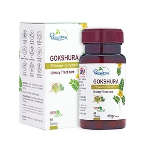 2 X Dhootapapeshwar Gokshur Tablets Urinary Tract Health & Joint Support 60 Tab - Picture 1 of 5