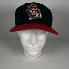 Vintage 90’s Asheville Tourists Minor League New Era Snapback Hat Cap USA Made