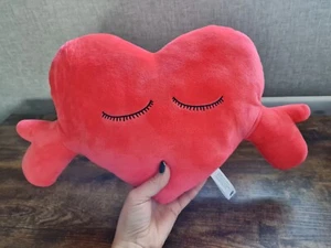 Almohada de felpa cojín de felpa rojo rosa amor adolescente regalo de San Valentín - Imagen 1 de 3