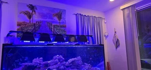 XR15 Light Shade – Reef Aquarium LED Light Shroud – Black or White PETG - Picture 1 of 19