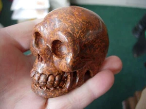 Crystal Skull large star fossil flower stone - Picture 1 of 6
