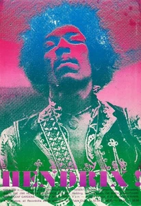 NEW Jimi Hendrix Concert Music Concert Poster Print Canvas Songs FREE SHIPPING - Picture 1 of 5
