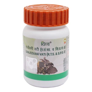 Divya Sanjeevani Vati 160 N with Free Shipping - Picture 1 of 4