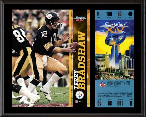 Terry Bradshaw Pittsburgh Steelers 12" x 15" SB XIV Plaque with Replica Ticket Cover