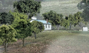 Woodland Scenics ~ Value Trees ~ Green ~ Mix ~ 3" to 5" ~ 14 Pieces ~ TR1572 - Picture 1 of 1