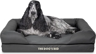 Letto per Cani, Ortopedico in Memory Foam Impermeabile, Misura Media, Grigio E N - Immagine 1 di 4