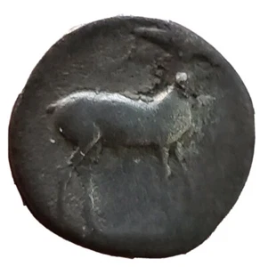 Nomos Bruttium, Kaulonia AR 1/3. Aproximadamente 475-425 aC. Apollo y ciervo - Imagen 1 de 2