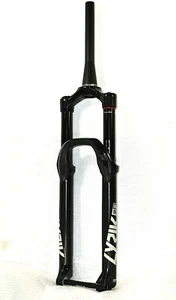 Rock Shox Lyric Select Charger RC Federgabel 29" 160mm DebonAir Maxle 15x110mm - Bild 1 von 5