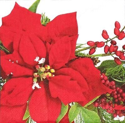 Q230# 3 X Solo Papel Servilletas Para Decoupage Navidad Estrella Puansettia Red Berry • 3.31€