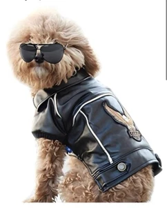 Estilo Motocicleta Cuero Perro - Linda Chaqueta Ropa con Botones Impermeable Grande - Imagen 1 de 9