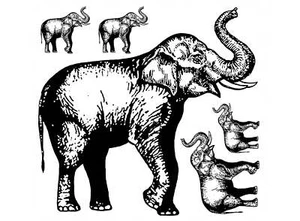 Elephant 10 pcs 0.75 to 3.5 Inch Black Fused Glass Decals - Picture 1 of 1