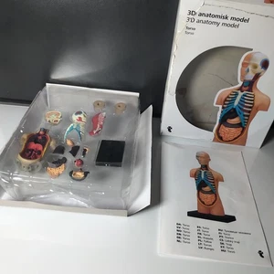 3 D Anatomisk Model Torso Körper Modell Anatomie OVP  Bastelset Organe Lernspiel - Bild 1 von 6