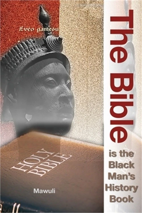 The Bible Is The Black Man's History Book Paperback – Unabridged July 1 2016