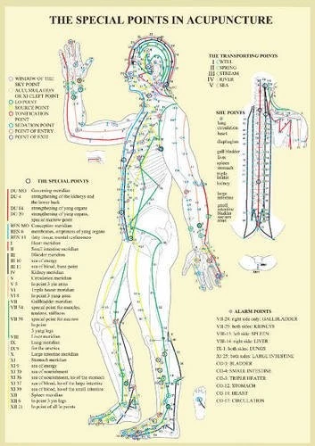 Special Points in Acupunture - A4 by Jan van Baarle | Sheet Map | 1997 - Image 1 of 1