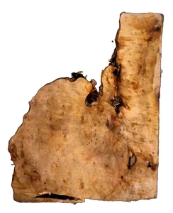MYRTLEWOOD BURL TORNITURA VUOTA LAVORAZIONE DEL LEGNO CIRCA 17x14,5x3 IN - Foto 1 di 2