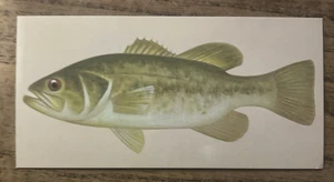 Vintage - 1962 - Gelles Widmer - FISH CARD - Largemouth Bass Card #30 - Picture 1 of 2