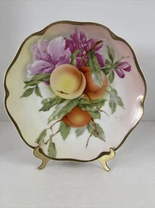 Antiguo Rosenthal pintado a mano Baviera 8" placa #58 patrón de melocotones - Imagen 1 de 6