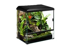 Glas Terrarium Set Forest 30x25x35cm Glasterrarium 18,75 Liter rechteck Terraset - Bild 1 von 6