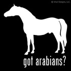 GOT ARABIANS? ARABIAN HORSE DECAL - ARAB HORSES STICKER