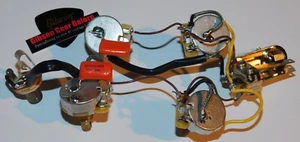 Gibson SG Standard Pot Control Assembly CTS Potentiometer Guitar Parts Project T - Picture 1 of 3