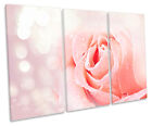 Modern Rose Petals Flower TREBLE CANVAS WALL ART Box Framed Print