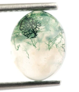 Natural Tree Moss Agate Oval Shape 10X8mm Loose Gemstone Birthday Gift 2.50 Ct. - Picture 1 of 6