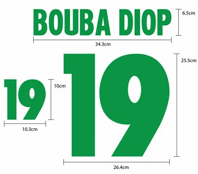 BOUBA DIOP #19 Senegal Home World Cup 2002 FLOCK VELVET NAME NUMBER PRINT - Image 1 of 4