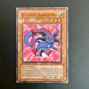 Yu-Gi-Oh! Commune Bête Cristalline : Escarboucle De Rubis FOTB-FR001 DP07-FR001 - Zdjęcie 1 z 3