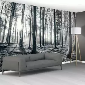 315x232cm Wandbild Fototapete schwarz & weiß Wald | Kleber nicht enthalten - Bild 1 von 5
