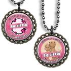 World's Best BIG Sister Bottle Cap Necklace w/ Chain Handcrafted Lady Bugs Bears